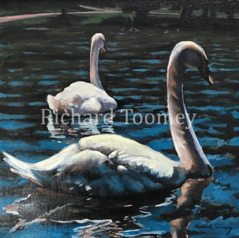 Swans_watermark.png