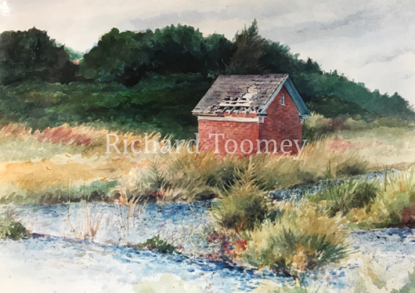 ShedintheMarsh_watermark